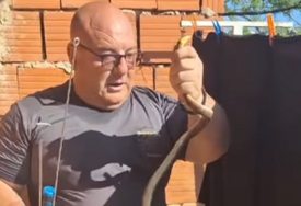 (VIDEO) Nevjerovatna scena u kući: Vladica Stanković IZVUKAO ZMIJU iz cigle u zidu