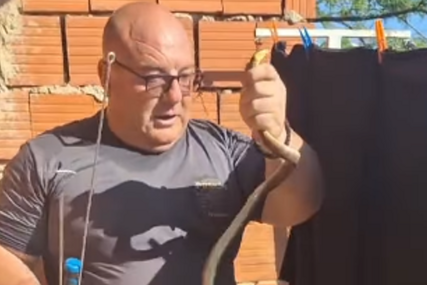 (VIDEO) Nevjerovatna scena u kući: Vladica Stanković IZVUKAO ZMIJU iz cigle u zidu