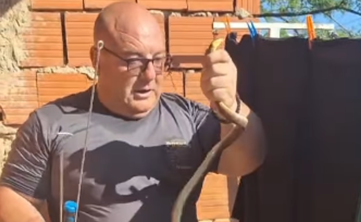 (VIDEO) Nevjerovatna scena u kući: Vladica Stanković IZVUKAO ZMIJU iz cigle u zidu