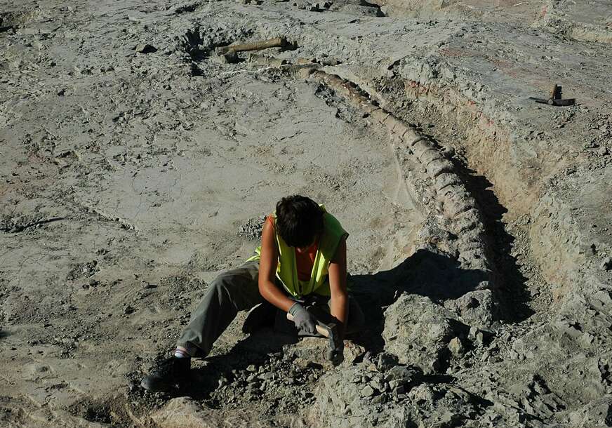 arheolog iskopava dinosaurusa