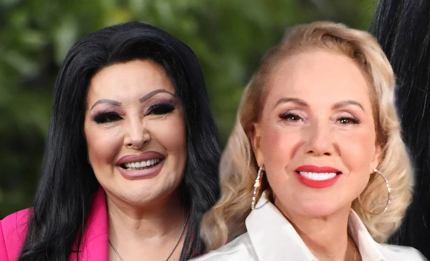 dragana mirković, lepa brena
