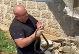 (VIDEO) "Majko moja" Poznatog zmijolovca UJELA ZMIJA, uslijedila dramatična akcija