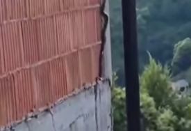 (VIDEO) Prizor je zastrašujući: Snimljena zmija kako se penje uz zid kuće