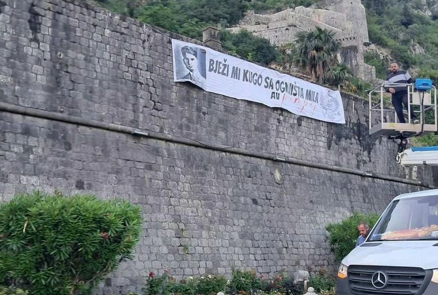 kotor
