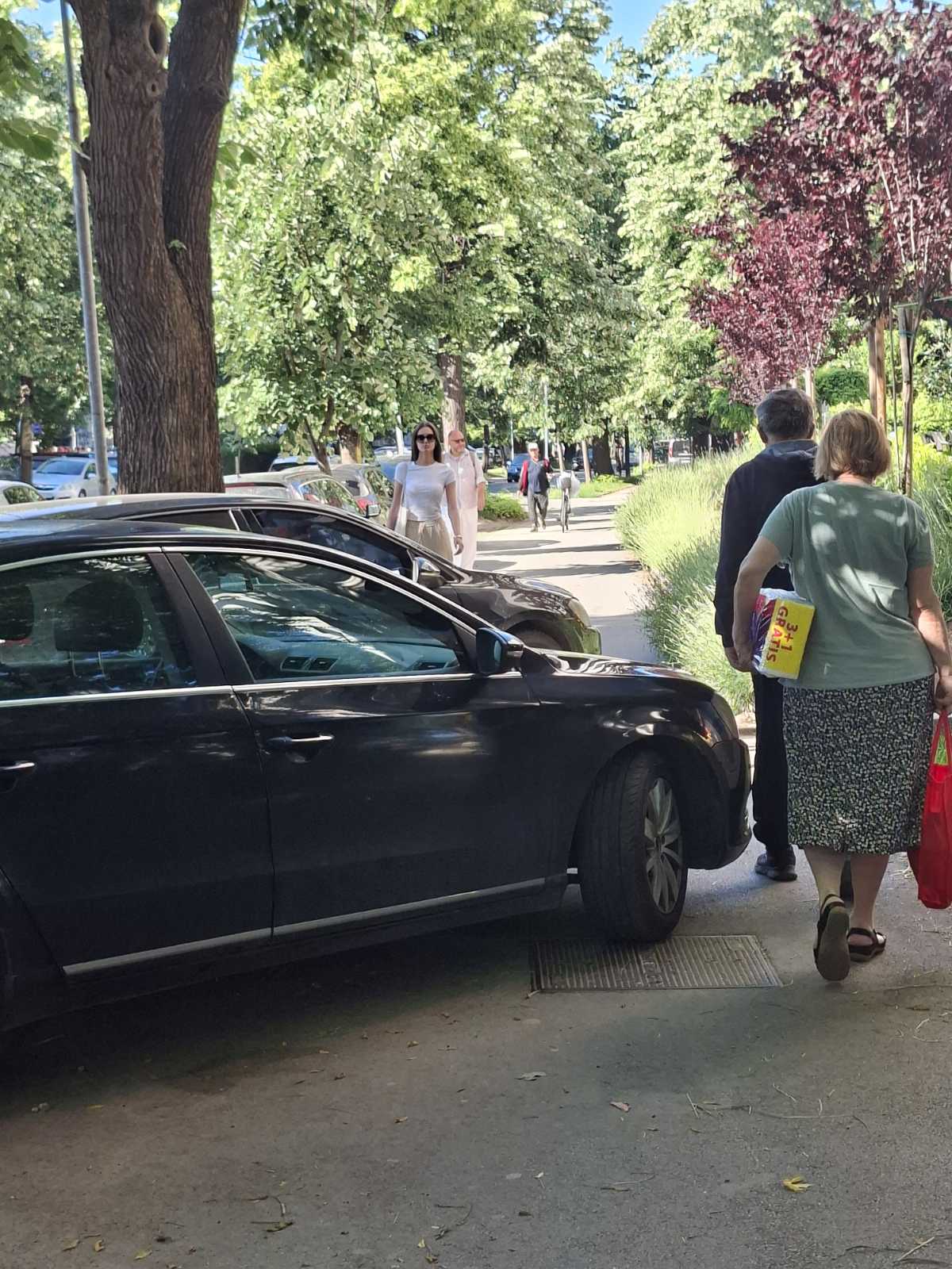 FOTO: USTUPLJENA FOTOGRAFIJA