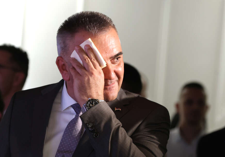 savo minić premijer rs 