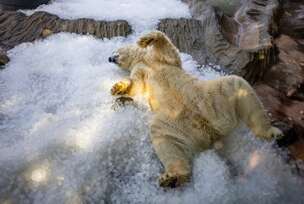 FOTO:  MARTIN DIVISEK/EPA