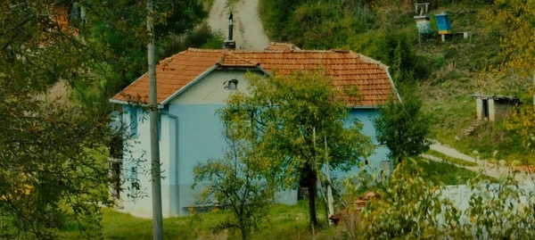 FOTO: BLIC TV/RINGIER 