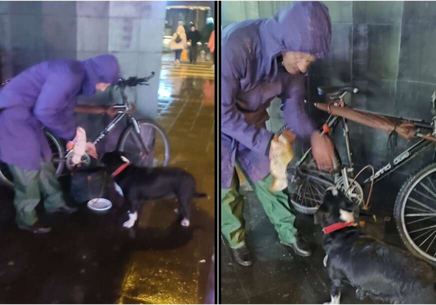 (VIDEO, FOTO) Banjaluko, ne okreći glavu: Dok grad spava, jedna žena spašava gladne pse - sada joj je potrebna NAŠA POMOĆ