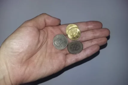 Tvrde da tako mogu uštedjeti: Nijemci prije odlaska na odmor stavljaju novčić u zamrzivač