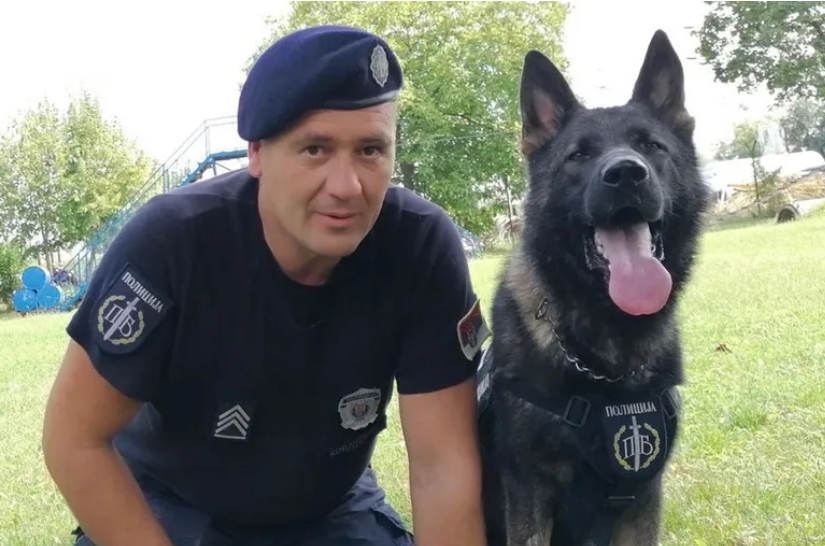 (FOTO) "To јe potvrda stručnog rada" Ovo je pas koji je pronašao tijelo UBIJENE RUSKINJE, oglasio se Dačić