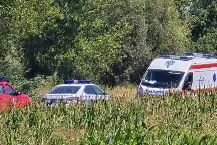 Nije im bilo spasa: Poznat identitet treće žrtve stravične saobraćajne nesreće u Novom Sadu