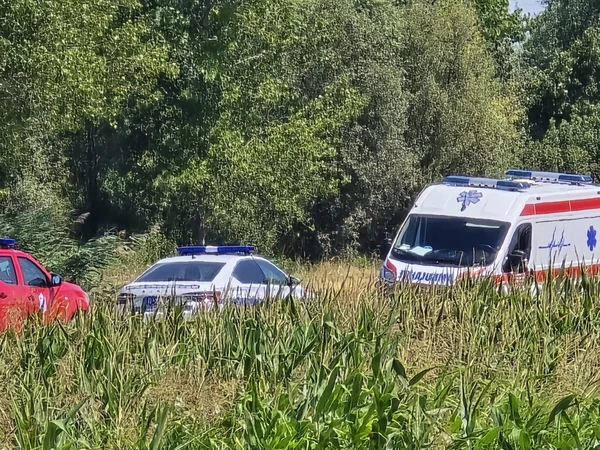 nesreća u novom sadu
