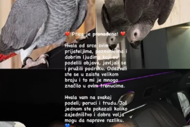 (FOTO) “Hvala što ste se odazvali” Lepa Brena i Viktor MOLILI ZA POMOĆ i nudili nagradu, pa podijelili srećne vijesti