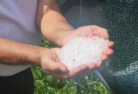 (FOTO) Nevrijeme ostavilo pustoš: Grad UNIŠTIO USJEVE I VOĆNJAKE za samo nekoliko minuta
