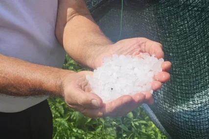 (FOTO) Nevrijeme ostavilo pustoš: Grad UNIŠTIO USJEVE I VOĆNJAKE za samo nekoliko minuta