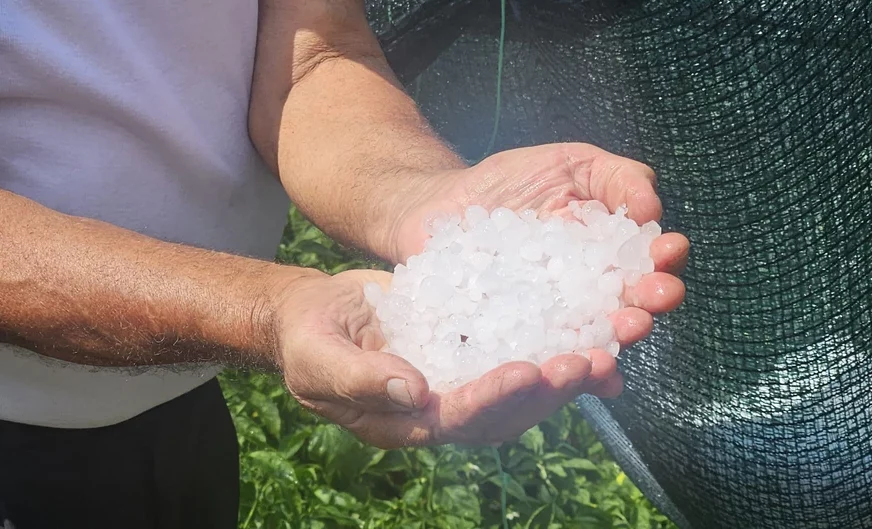 (VIDEO) Stravično nevrijeme pogodilo region: Grad tukao usjeve, vjetar ČUPAO FASADE i drveće