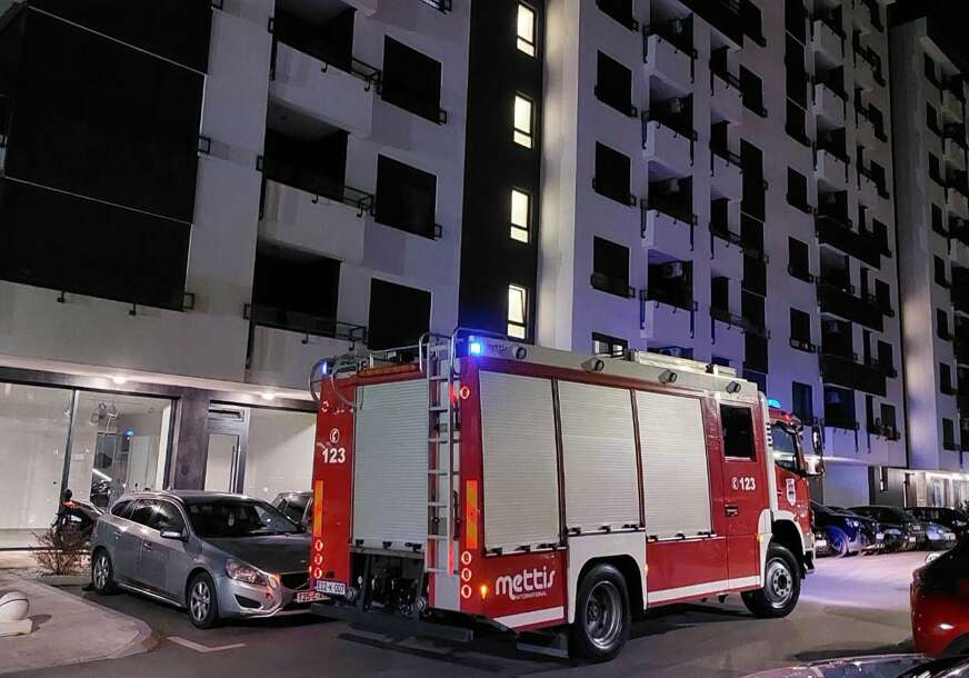 (FOTO) Neobičan poziv za vatrogasce: Iz stana u Banjaluci uklanjali SLIJEPOG MIŠA