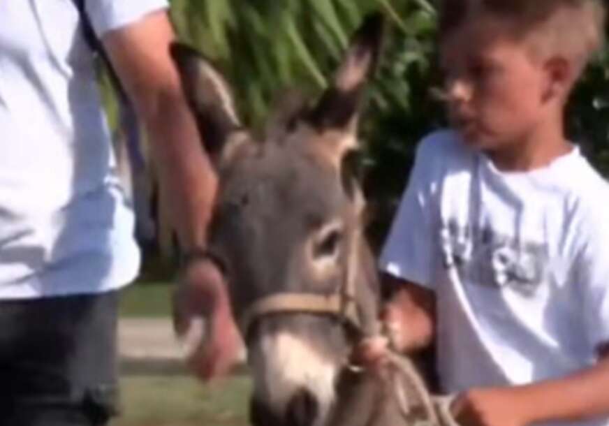 (VIDEO) Umjesto telefona IZABRALI SU MAGARCE: U malom dalmatinskom mjestu veliki broj djece ima svog magarca