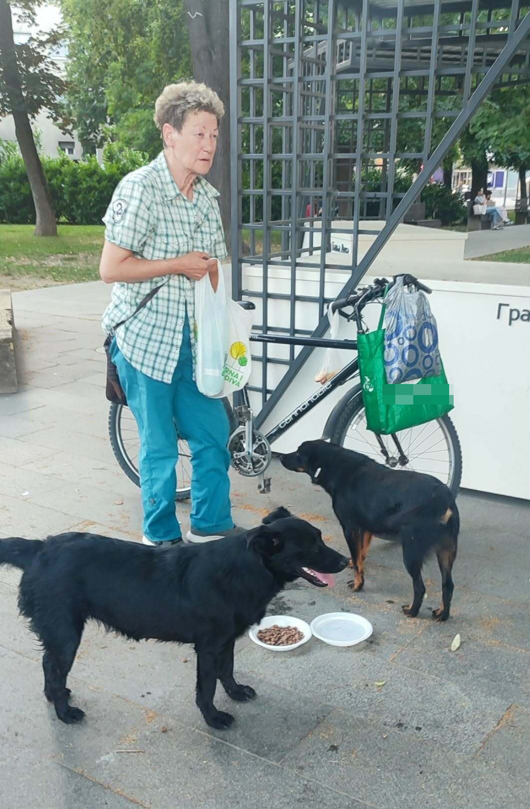 FOTO: USTUPLJENA FOTOGRAFIJA