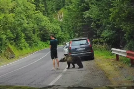 (VIDEO) SNIMAK SVE ZAPANJIO Medvjed prišao turisti s leđa, a onda je nastao HAOS