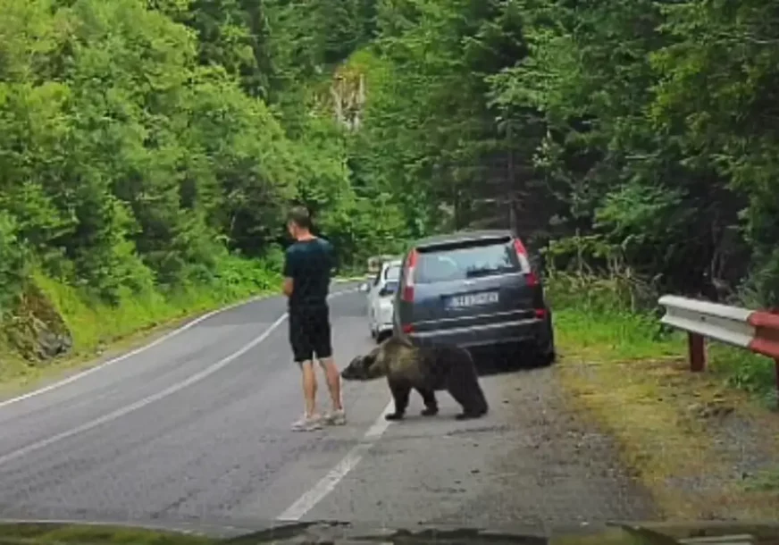 (VIDEO) SNIMAK SVE ZAPANJIO Medvjed prišao turisti s leđa, a onda je nastao HAOS