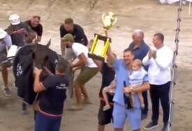 (VIDEO) Srpski as nije skrivao oduševljenje: Konj Nikole Jokića opet neprikosnoven