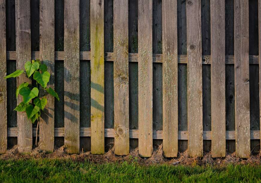 Praktična je, dugotrajna i čuva privatnost: Ograda iz šezdesetih ponovo vlada dvorištima