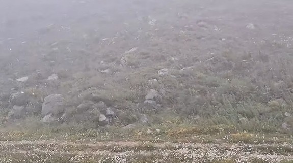 snijeg u crnoj gori