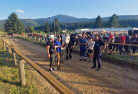 (FOTO) Drinić spreman za jubilarnu ŠTRAPARIJADU: Više od 50 parova konja u borbi za rekordan nagradni fond