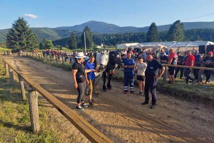(FOTO) Drinić spreman za jubilarnu ŠTRAPARIJADU: Više od 50 parova konja u borbi za rekordan nagradni fond