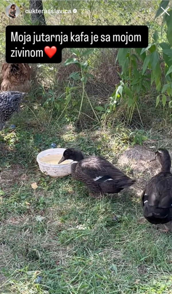 slavica ćukteraš, objava