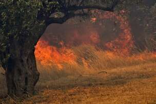 FOTO:  BOUGIOTIS EVANGELOS/EPA