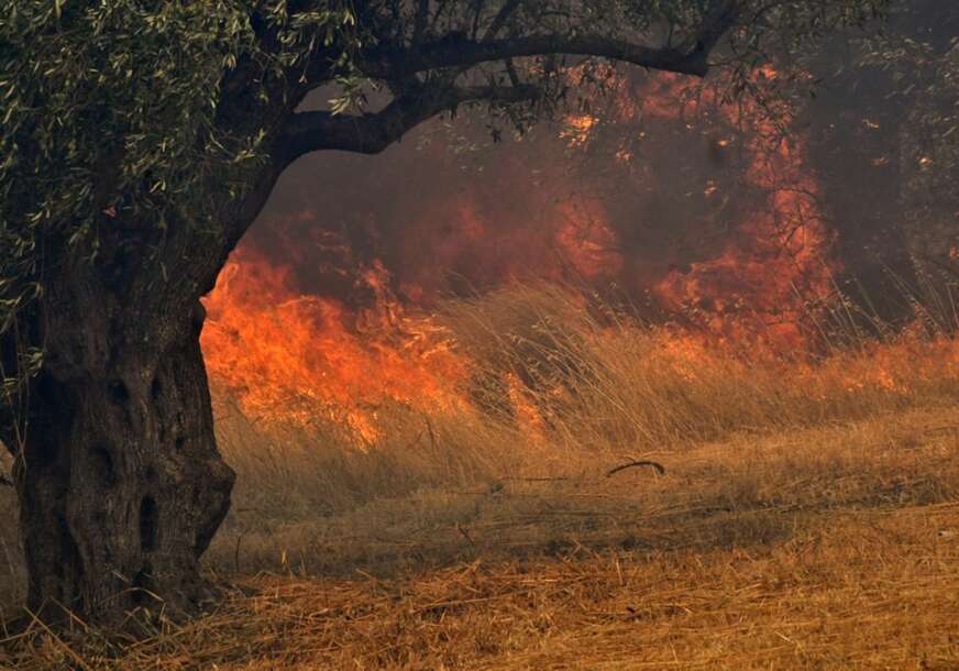 FOTO:  BOUGIOTIS EVANGELOS/EPA