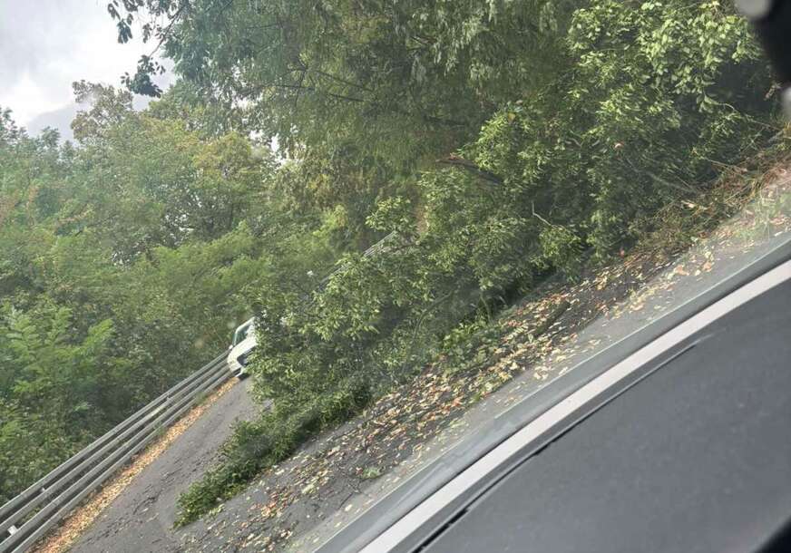 (FOTO) Nevrijeme napravilo haos: U Krčmaricama drvo palo na put, u Budžaku visi semafor, a na auto-putu limovi