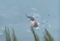 Stradali danski pilot i grčki koordinator: Potvrđeno ko je poginuo u sudaru helikoptera kod Atine