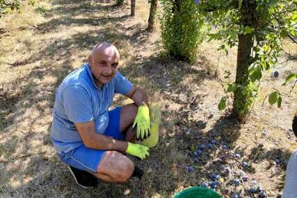 (FOTO) Banjac u rodnom kraju: „Od šljive, dobra rakija. Od korijena, karakter“