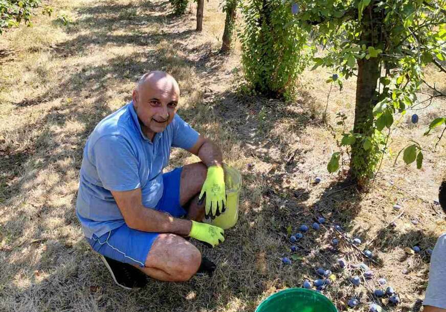 (FOTO) Banjac u rodnom kraju: „Od šljive, dobra rakija. Od korijena, karakter“