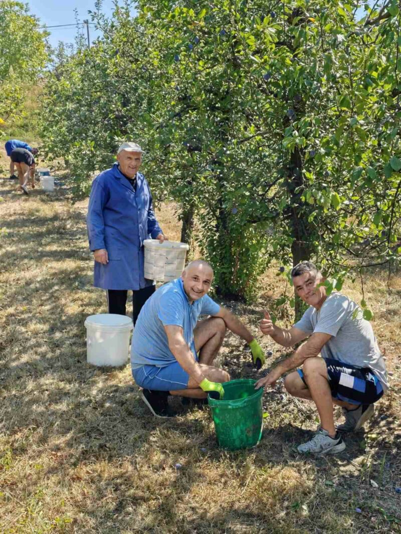 FOTO: USTUPLJENA FOTOGRAFIJA
