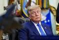 Donald Tramp
