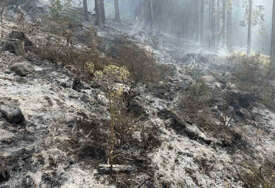 (VIDEO, FOTO) CRNI VRH GORI, POMOĆI NIGDJE Šesti dan požara kod Bosanskog Petrovca, VRIJEDNA ŠUMA NESTAJE, a i ovo muči mještane