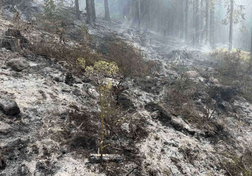 (VIDEO, FOTO) CRNI VRH GORI, POMOĆI NIGDJE Šesti dan požara kod Bosanskog Petrovca, VRIJEDNA ŠUMA NESTAJE, a i ovo muči mještane