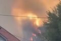 (VIDEO) VATRA PRIJETI KUĆAMA Buknuo ogromni požar kod Herceg Novog