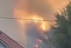 (VIDEO) VATRA PRIJETI KUĆAMA Buknuo ogromni požar kod Herceg Novog