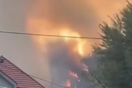 (VIDEO) VATRA PRIJETI KUĆAMA Buknuo ogromni požar kod Herceg Novog