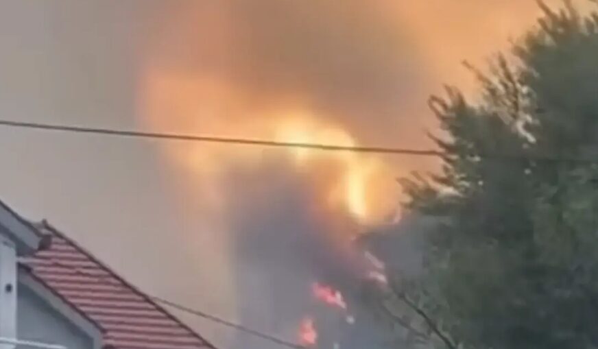 (VIDEO) VATRA PRIJETI KUĆAMA Buknuo ogromni požar kod Herceg Novog