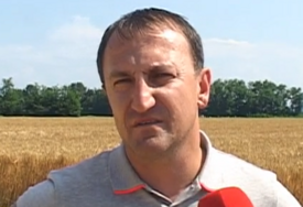 GUBITNIK DANA Darko Sekimić