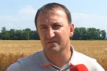   Darko Sekimić