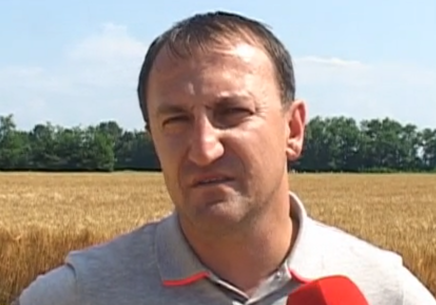 GUBITNIK DANA Darko Sekimić