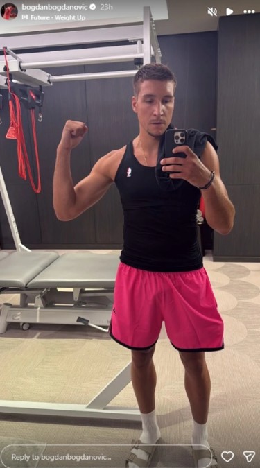 bogdan bogdanović 